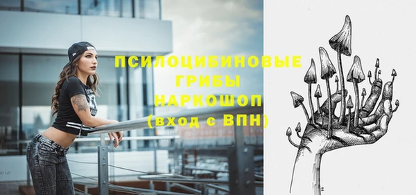 Альфа ПВП Богородицк