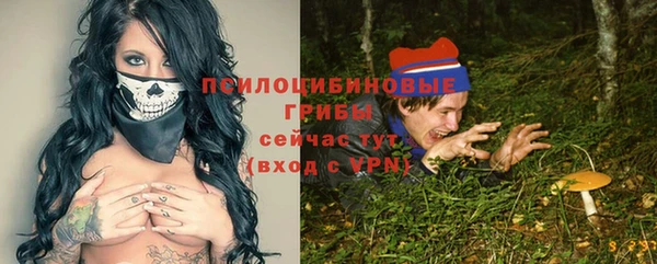 Альфа ПВП Богородицк