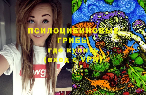 Альфа ПВП Богородицк