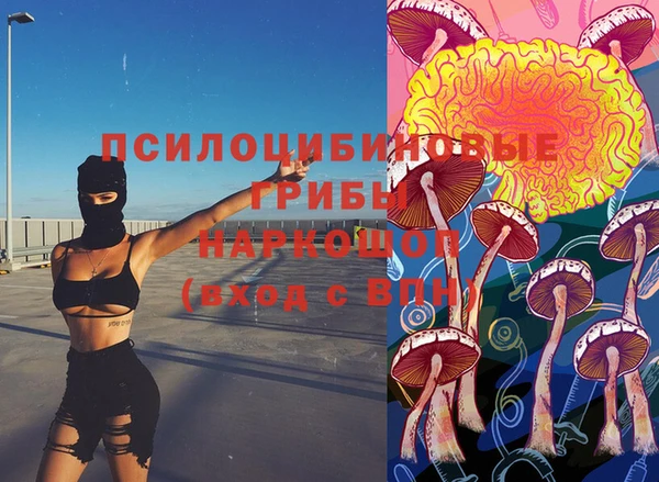 Альфа ПВП Богородицк