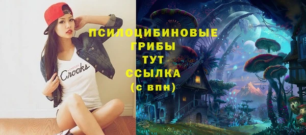 Альфа ПВП Богородицк