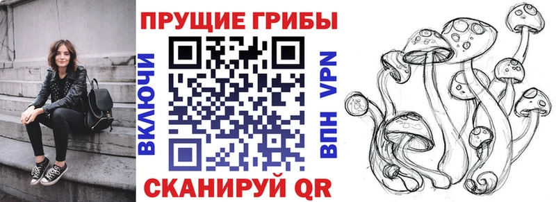 Купить закладки  Голицыно  Галлюциногенные грибы мицелий 